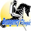 Logo of the association Beaugency Plongée